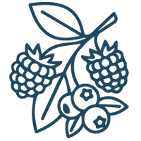 Citrus, Berry & Elderflower Flavor